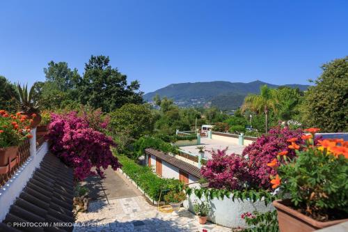 Centro Ferie Salvatore