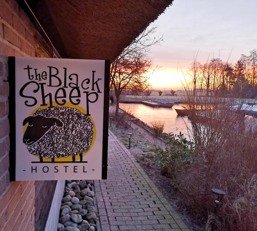 The Black Sheep Hostel