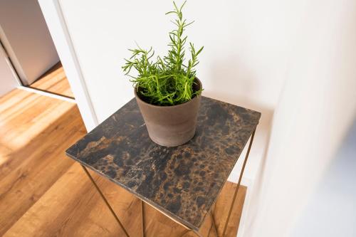 Franzls Panorama Appartements