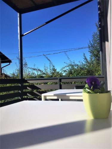 Water Lily Boutique Bed and Breakfast