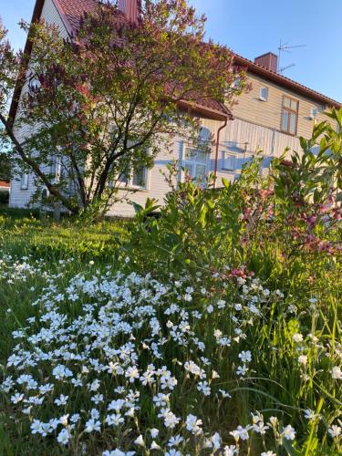 Skrunda Apartments Rustic