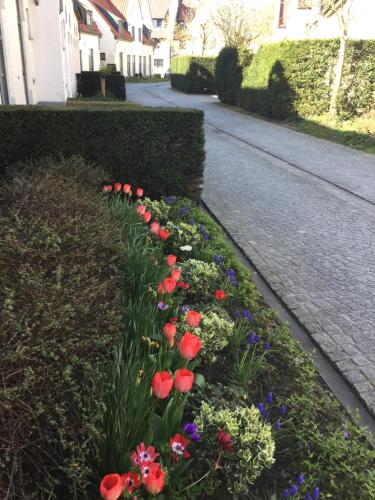 B&B Het Colettientje