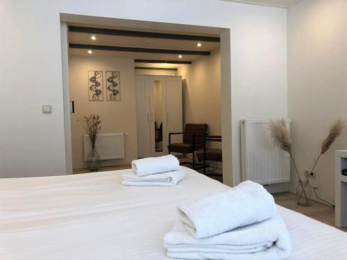 Hotel-Brasserie De Walvisvaarder