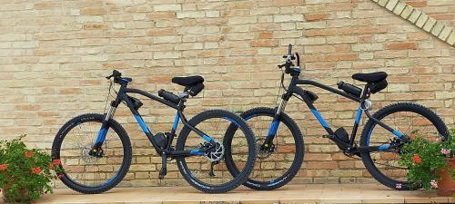 Il Giardino Degli Ulivi