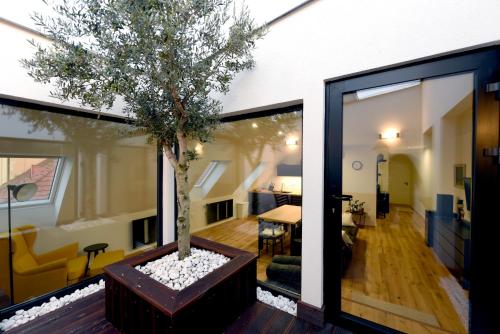 Apartmán s átriom v historickom centre
