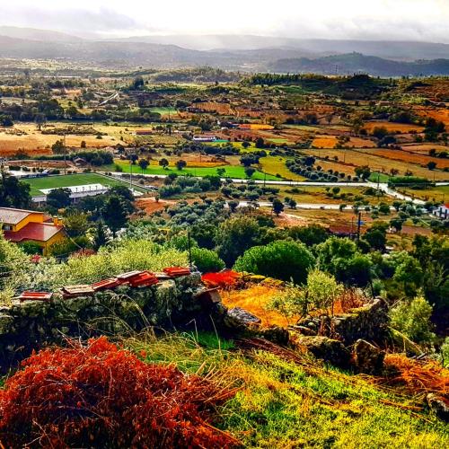 Branca Goncalves Belmonte