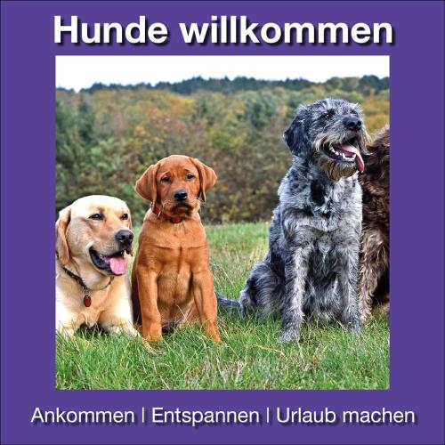 Ferienwohnung Beckendorf