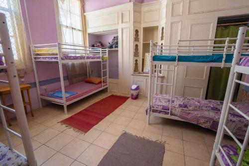Lotus Garden Hostel