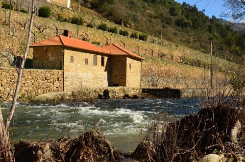 Quinta De Reciao