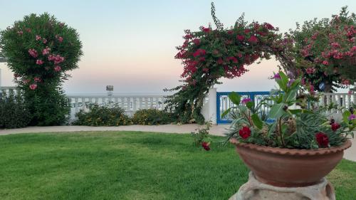 Antonios Apartments Stegna