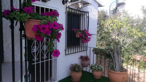 El Rincón De La Quinta