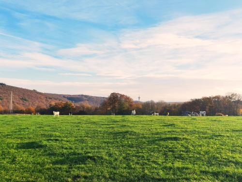 Ferme de la Petite Fagne