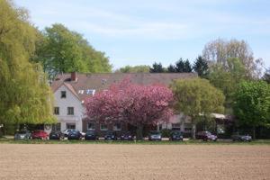 Waldesruh