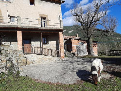 Casa Rural Mas Pujol