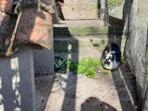 Casa Rural Mas Pujol