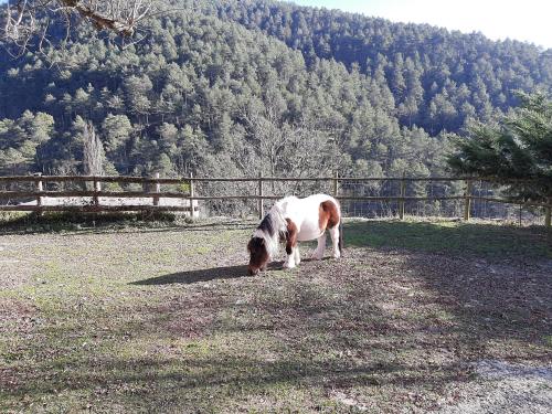 Casa Rural Mas Pujol