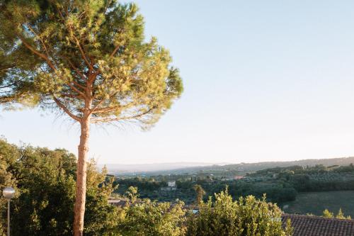 Locanda Stella