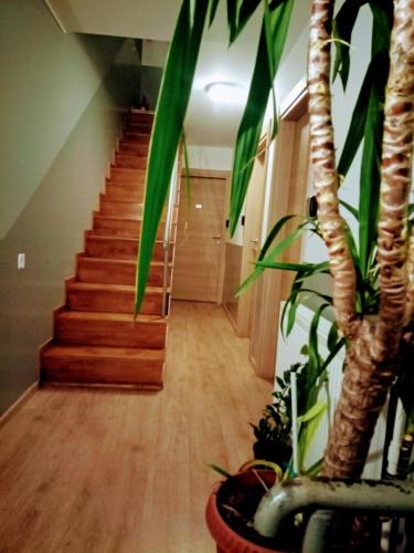 Central Guesthouse Bucharest