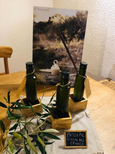 Casa Les Olives
