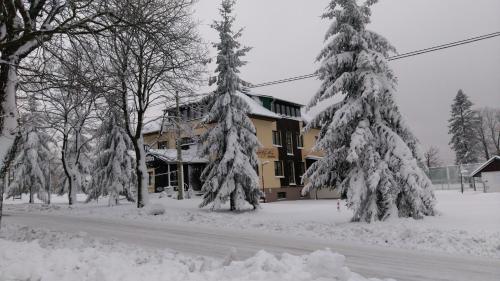 Penzion Svycarsky Dum