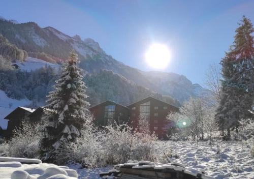 Aparthotel Mountain River Resort