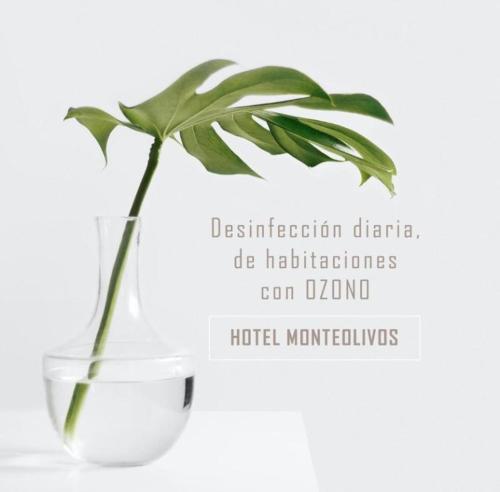 Hotel Monteolivos