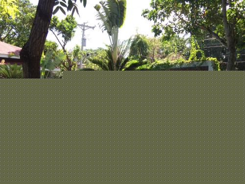 The Pelican's Resort