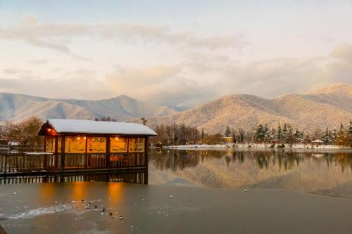 Lopota Lake Resort & Spa