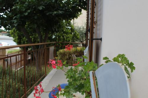 Alle Terme B&B