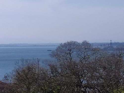 Cenario Catita Hostel