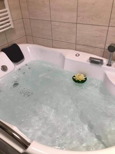 Fehér Ló Fogadó