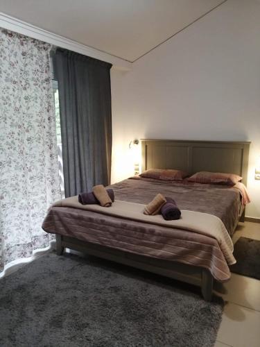 Holiday and Business Home