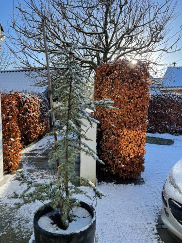 Helts B&B