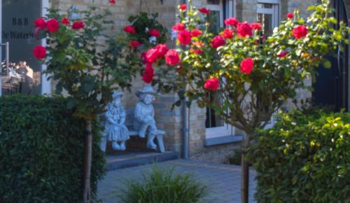 B&B De Watering
