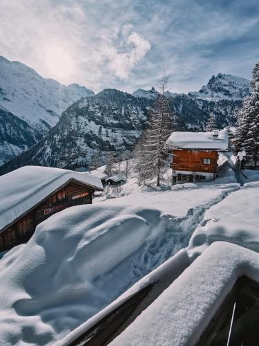 Mountain Hostel Gimmelwald