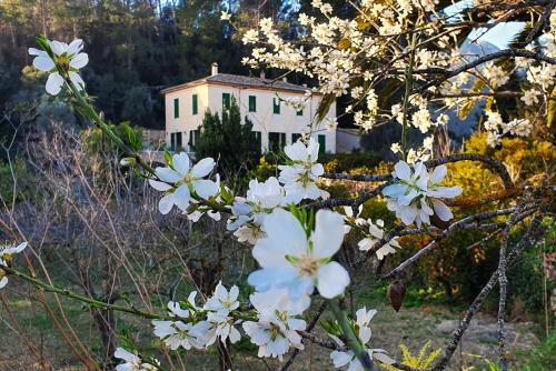 Finca sa Maniga
