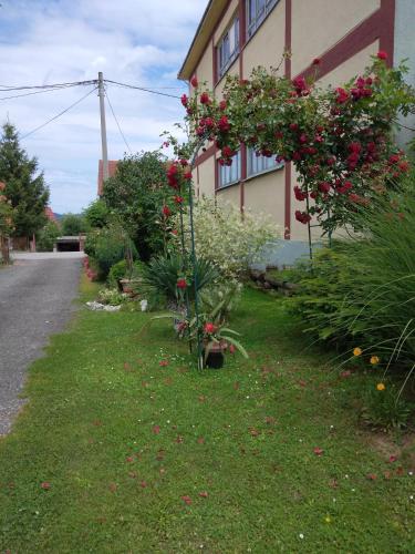 Apartment Tomašević