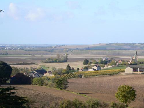 Château de Ternay