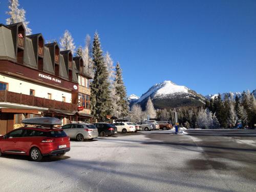 Penzion Pleso