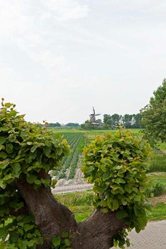 B&B Lauwersstate