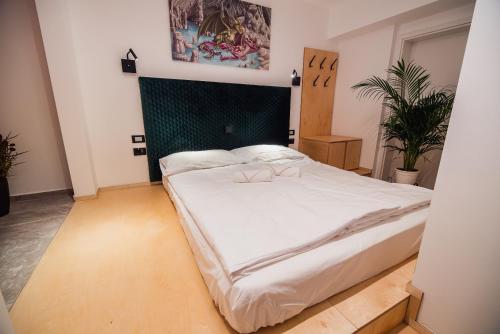 Dragon's Dream Hostel