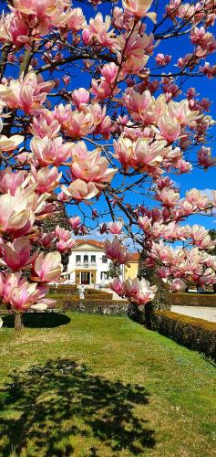 Agriturismo di Charme Villa Serena