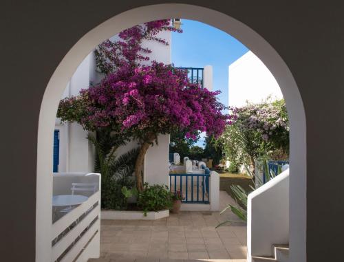 Astra Apartments Hotel