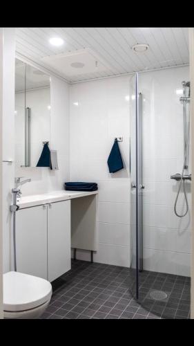 Trendy Homes Oulu Marski Apartments