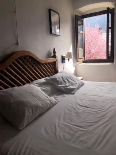 Casa Coll