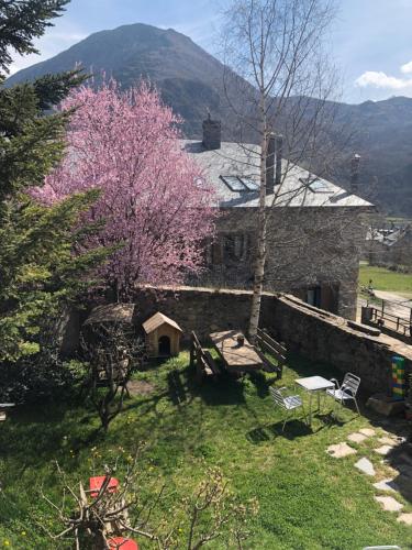 Casa Coll