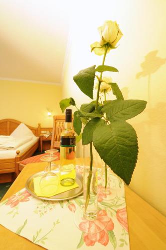 Aparthotel Kristall