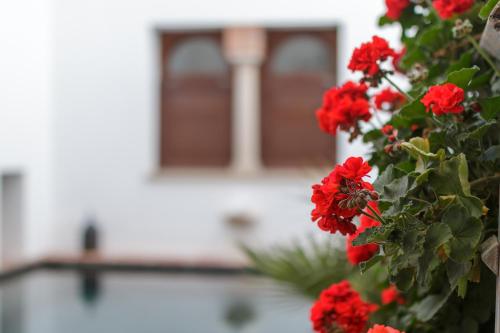 Apartasuites Alberca