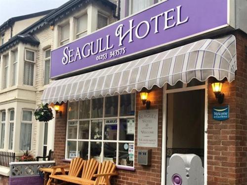 Seagull
