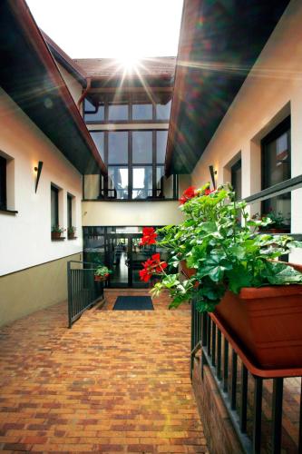 Hotel BELASSI
